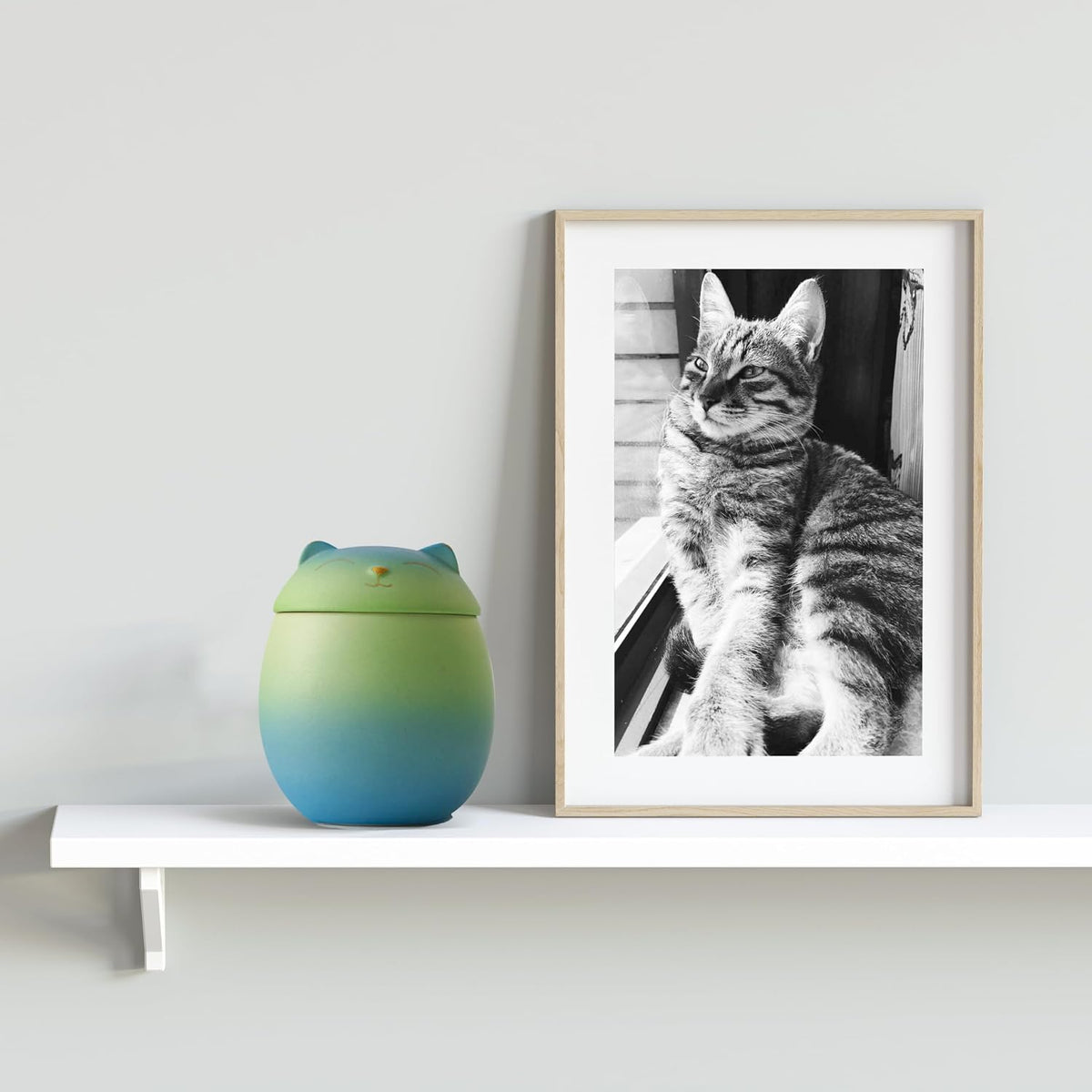 Cat Urn Dog Urn Sized 3.2X2.9 and 4.9X4.25. a Smiley-Cat Pet Urn with a Memoria Card.Cat Urns for Ashes for Your Pet (12 Cu/In, Blue and Green)…