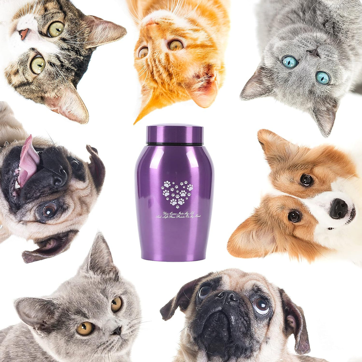 Stainlee Steel Pet Urns,Paws Engraved Dog Urn for Ashes,Cat Creamtion Urn for Ashes,Pet Urn for Large Dog