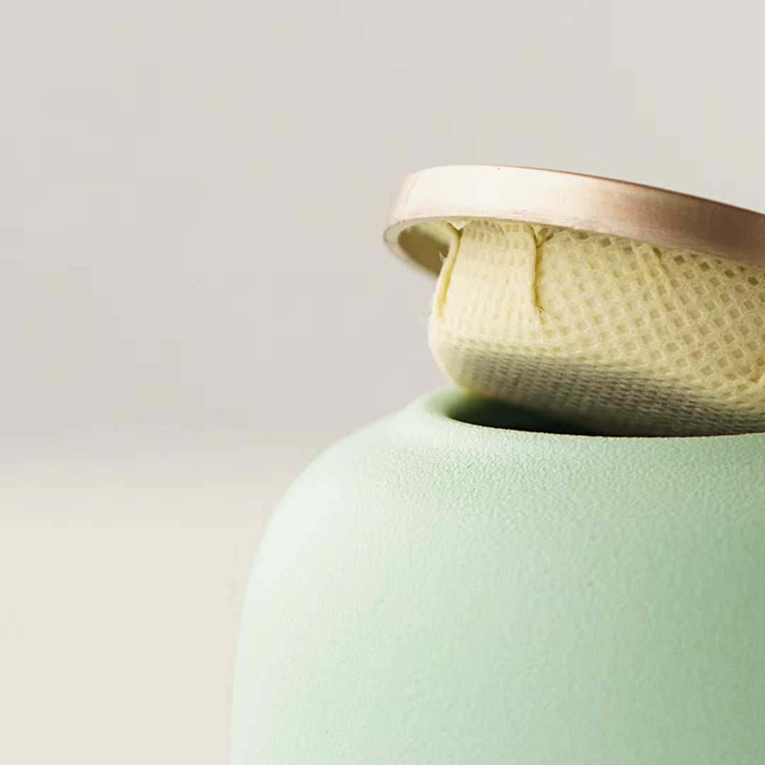 Small Ceramic Pet Urn for Cat/Dog Ashes