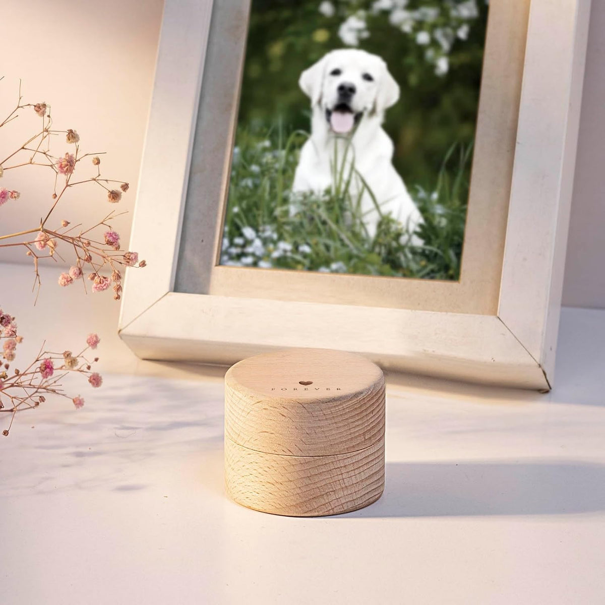 Pet Urns for Dog or Cat Ashes - with Transparent Acrylic Box - Mini Urns for Pet Ashes, Wooden Pet Cremation Urns, Pet Memorial Keepsake Cat or Dog Memory Box(Heart Shape)