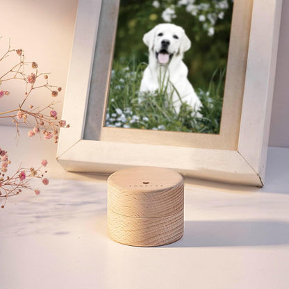 Pet Urns for Dog or Cat Ashes - with Transparent Acrylic Box - Mini Urns for Pet Ashes, Wooden Pet Cremation Urns, Pet Memorial Keepsake Cat or Dog Memory Box(Heart Shape)