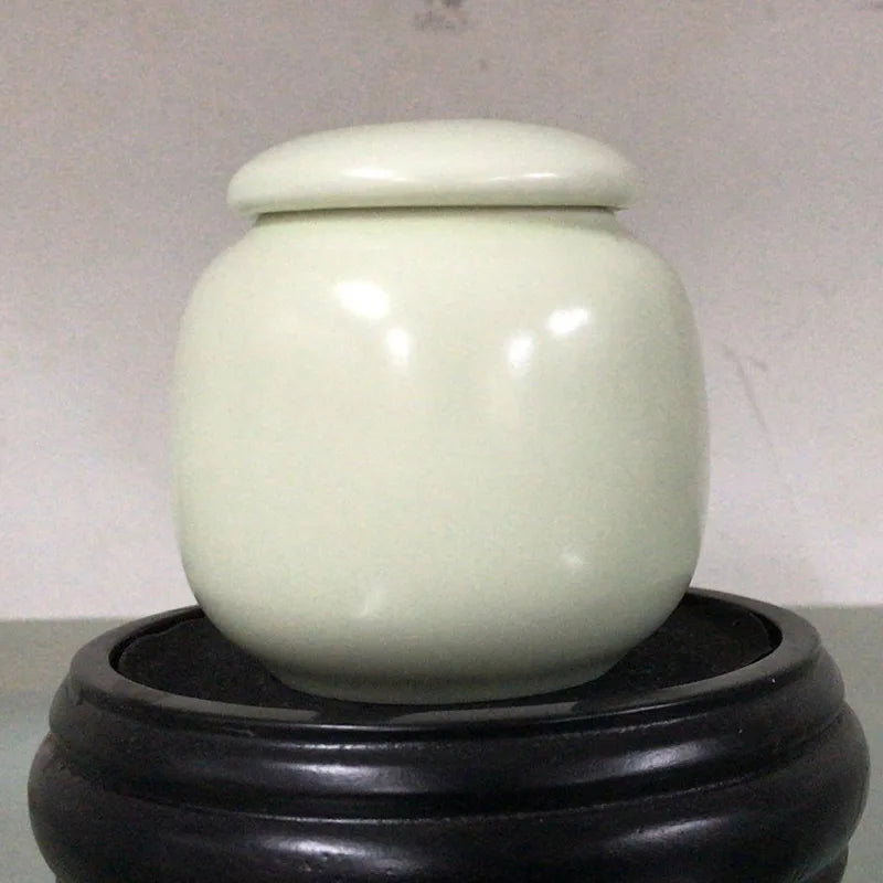 Memorial Container Pet Ashes Urn Handpainted Ceramics Urn Cremation Pet Bird Ash Holder Burial at Home Gift