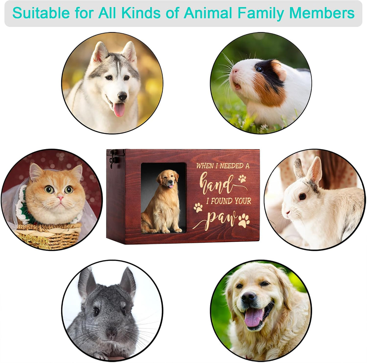 Pet Memorial Urns for Dogs or Cats Ashes with Photo Frame