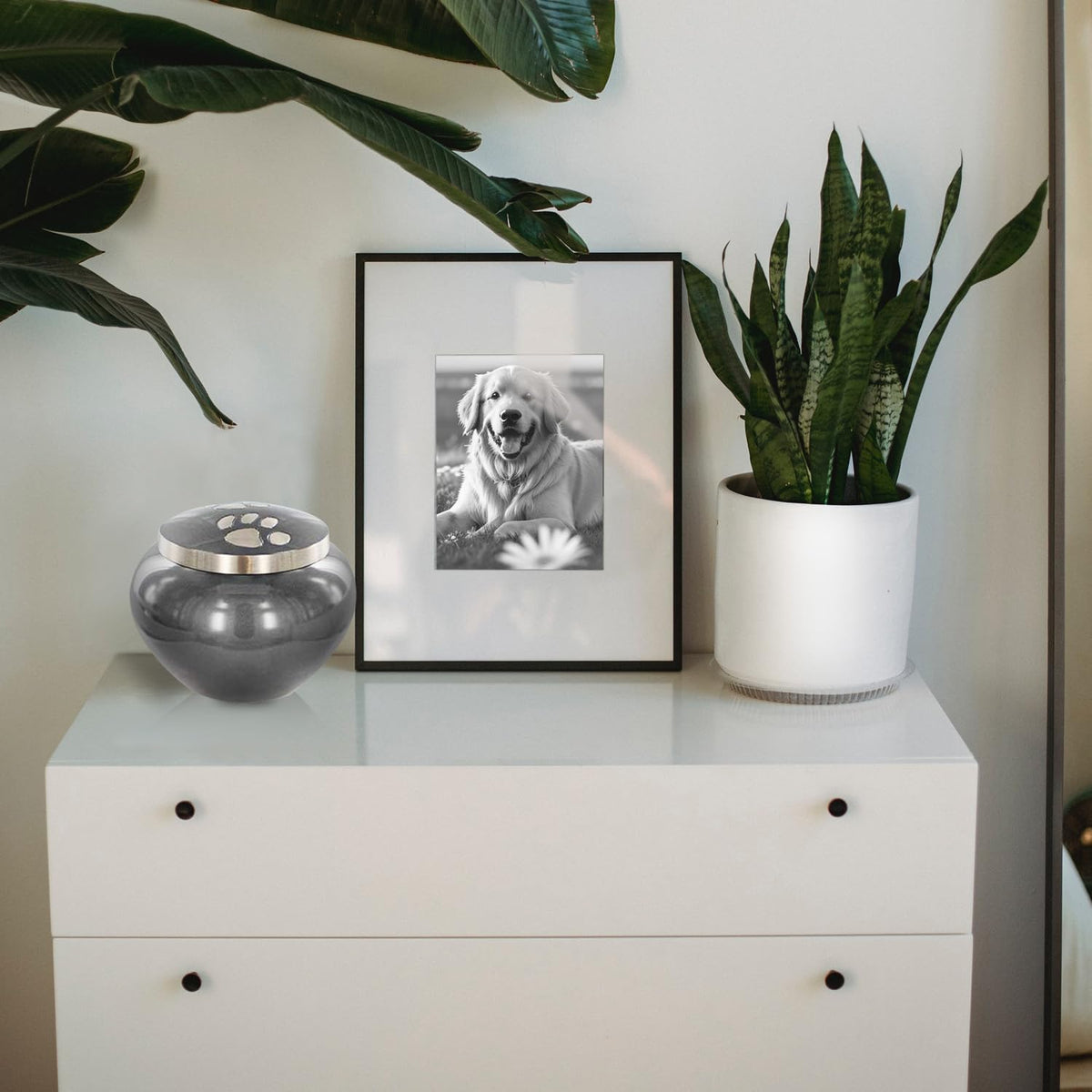 Pet Urn for Dogs and Cats Ashes, Paws Print Grey Cremation Urns for Pets - Grey, Medium up to 25Lb