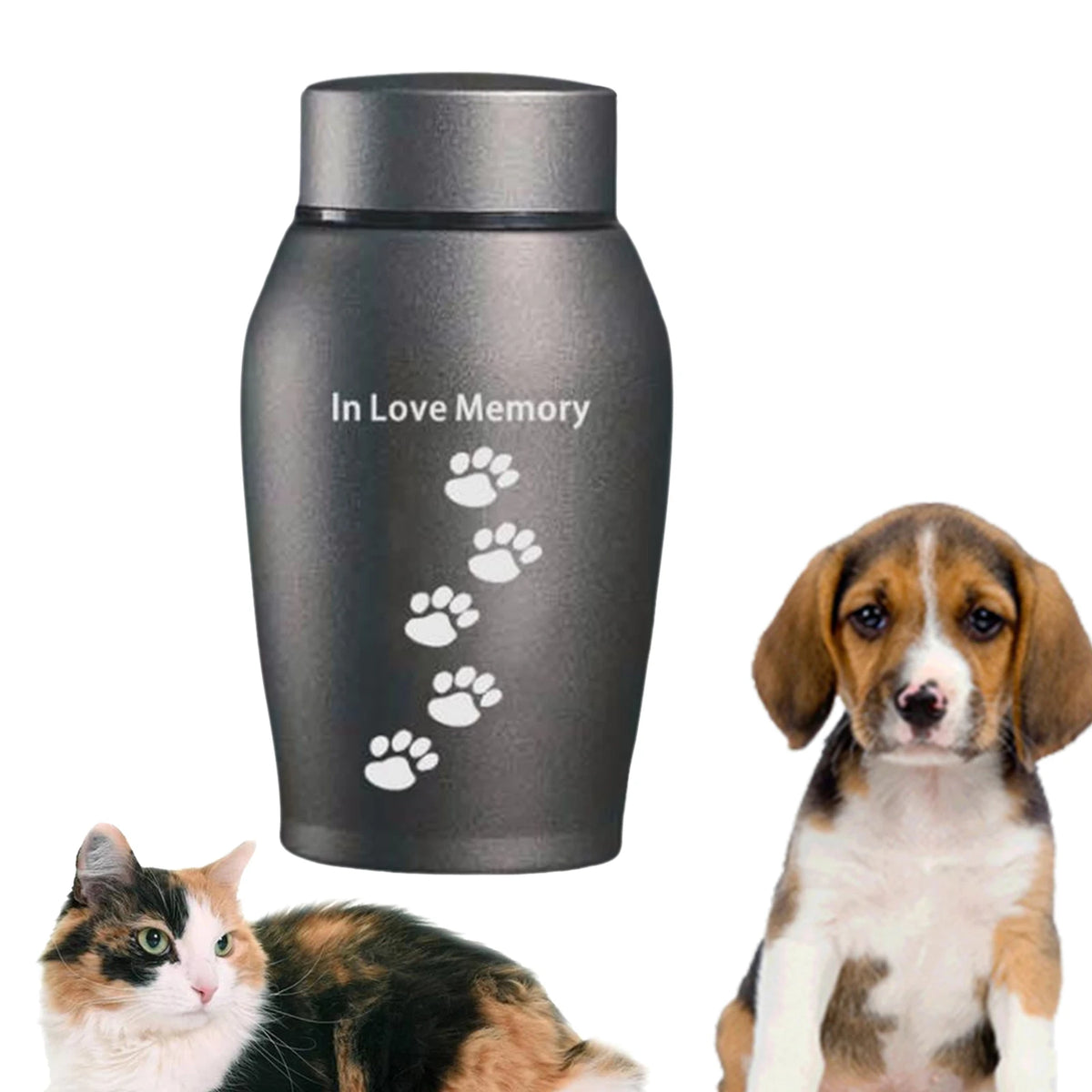 Pet Urn Keeping Precious Memorable Storage Funeral Loose Memorial Pets Gift Keepsake Case Memory Sympathy Cremation Memorial Urn