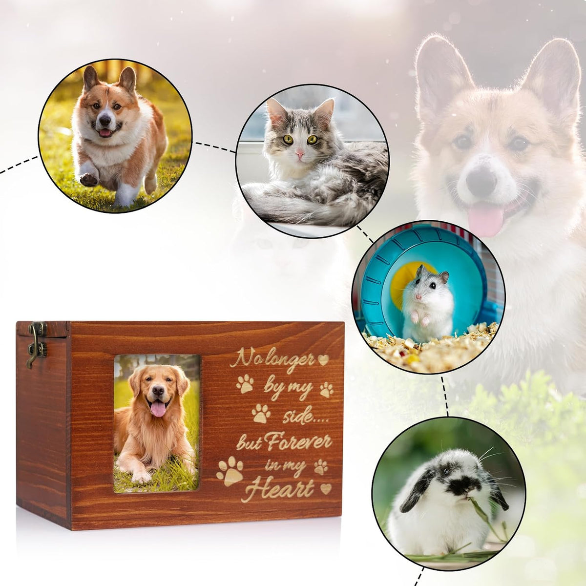 Pet Memorial Urn for Dog or Cat Ashes Wooden Dog Urns Keepsake Memory Box Cremation Urns with Photo Frame