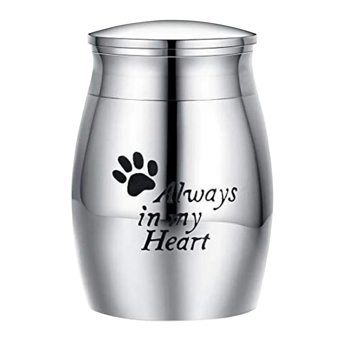 Pet Urn Keeping Precious Memorable Storage Funeral Loose Memorial Pets Gift Keepsake Case Memory Sympathy Cremation Memorial Urn